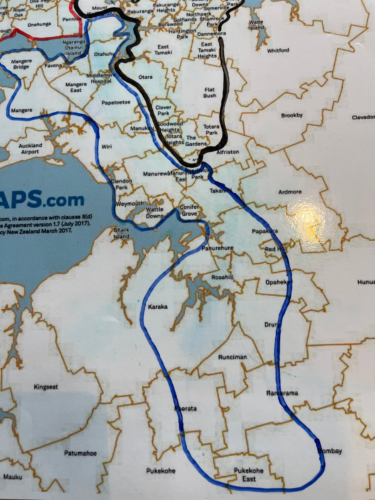 Five Dozen Live Pacific Whole Shell Oysters delivered on THURSDAYS to the Auckland Region