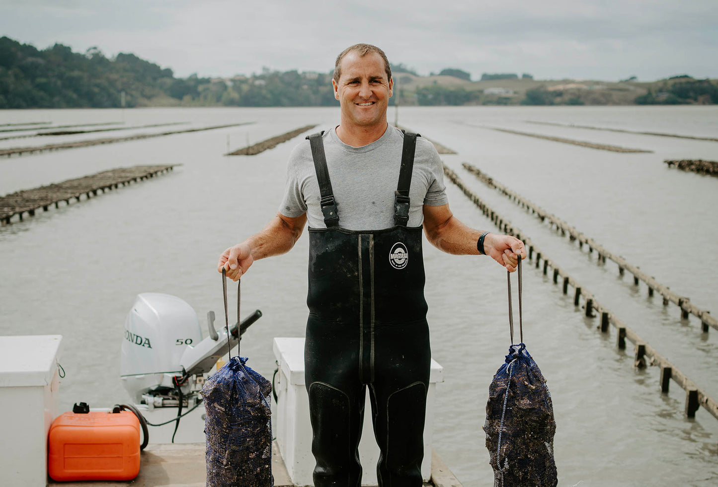 Five Dozen Live Pacific Whole Shell Oysters delivered on Friday to the Auckland Region